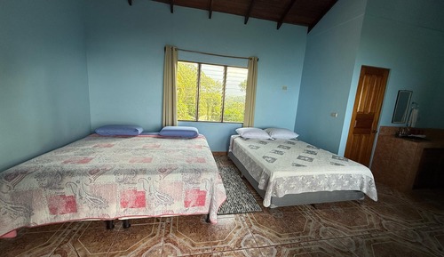 Basic-Zimmer, Mehrere Betten, Meerblick