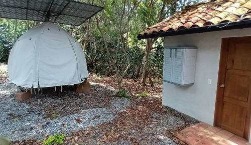 Design-Zimmer, Gartenblick