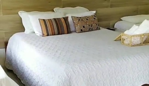 Basic-Vierbettzimmer