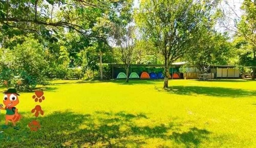 Standard-Zelt, Gartenblick