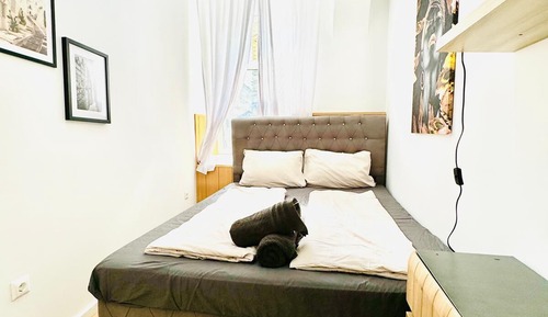 Basic-Zimmer