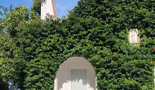 Classic-Ferienhaus, Gartenblick