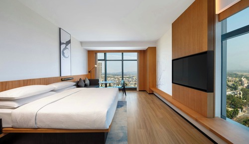 Business-Zimmer, 1 King-Bett, Nichtraucher (view)