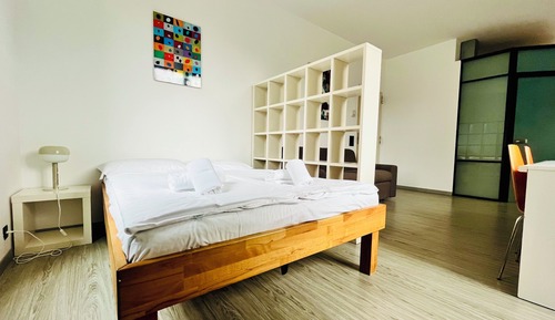 Superior-Apartment