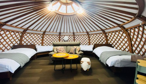 Basic-Vierbettzimmer