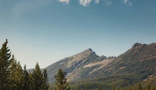 Familienzimmer (Moonlight)