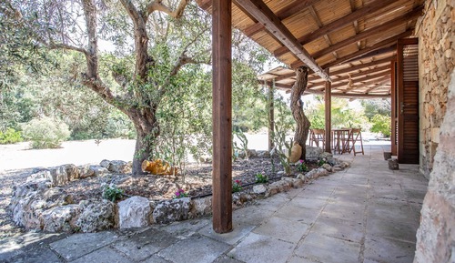 Comfort-Suite, Gartenblick