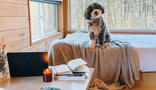 Standard-Ferienhütte, 1 Queen-Bett