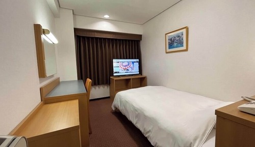 Deluxe-Einzelzimmer, Nichtraucher (High Deluxe)