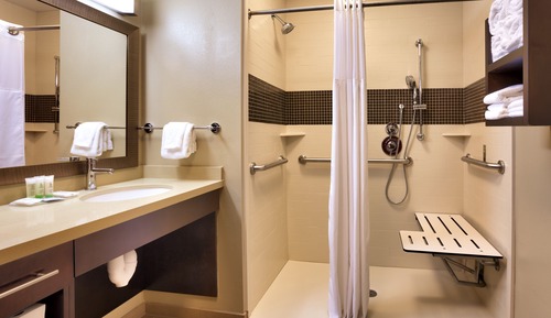 Suite, 1 Schlafzimmer, barrierefrei, Küche (Mobility, Roll-In Shower)