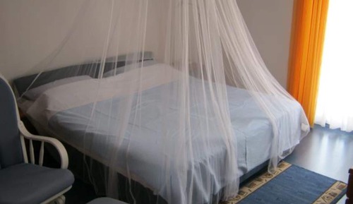 Apartment (One Bedroom Apartment with Balcony)