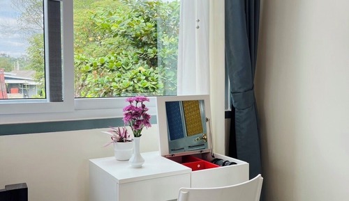 Forget me nots Mountain View