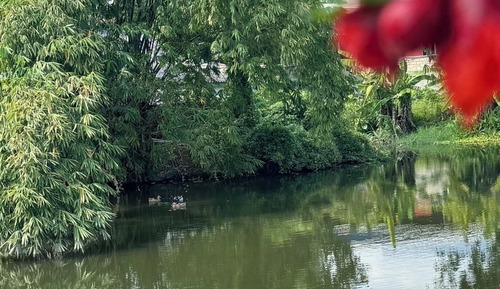 Marigold suites Room with Mountain View