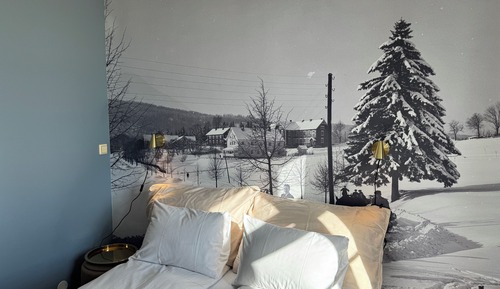 Basic-Doppelzimmer, Parkblick