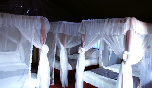 Standard-Einzelzimmer, 1 großes Einzelbett, Nichtraucher, Erdgeschoss