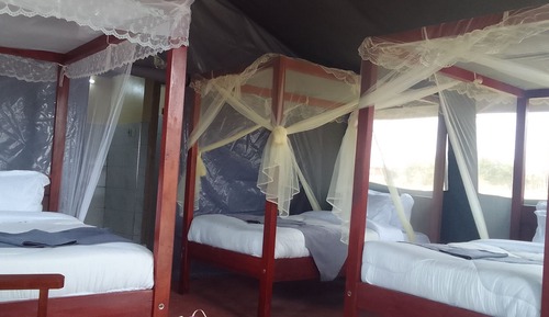 Standard-Dreibettzimmer, Mehrere Betten, Nichtraucher, Erdgeschoss