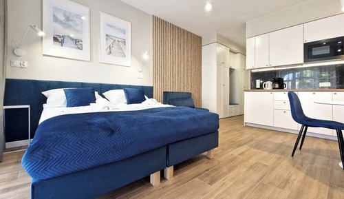 Superior-Studiosuite, 1 Queen-Bett und Schlafsofa