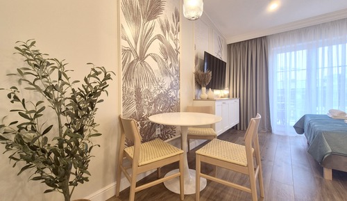 Superior-Studiosuite, 1 Queen-Bett und Schlafsofa