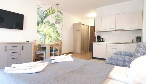 Standard-Studiosuite, 1 Queen-Bett und Schlafsofa