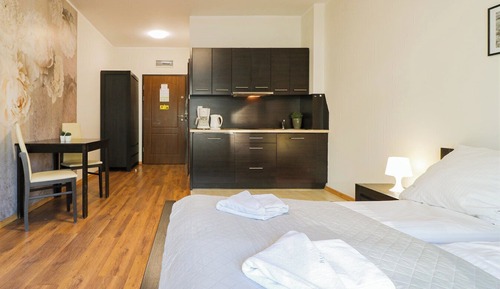 Economy-Studiosuite, 1 Queen-Bett und Schlafsofa