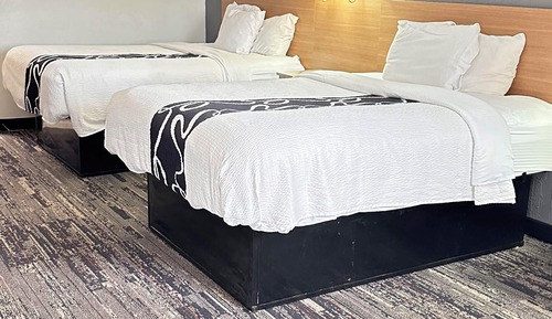 Basic-Zimmer, 2 Queen-Betten