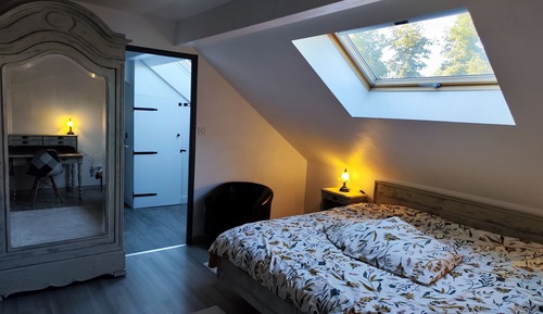 Superior-Doppelzimmer, 1 King-Bett