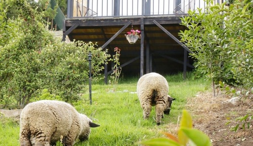 Comfort-Vierbettzimmer, Balkon, Seeblick