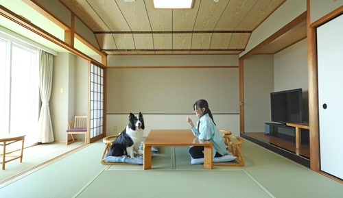 Deluxe-Zimmer, Nichtraucher (Japanese-Western-Style)