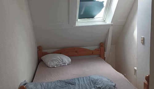 Basic-Doppelzimmer, 1 Queen-Bett