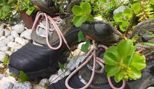 Gemeinsamer Traditional-Schlafsaal, Terrasse, Blick auf den Innenhof