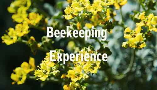 Luxury-Zelt, eigenes Bad