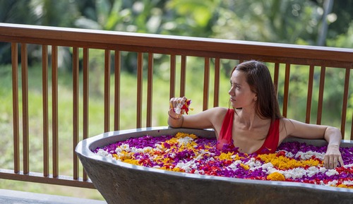 Suite (Room Jungle View)