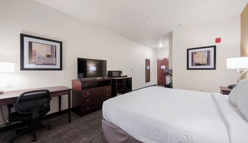 Zimmer, barrierefrei, Nichtraucher (Single King Guestroom)