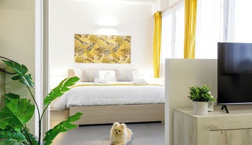 Superior-Apartment, 1 Queen-Bett und Schlafsofa, eigenes Bad