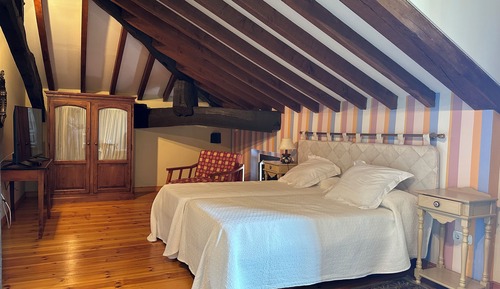 Superior-Zimmer, eigenes Bad, Bergblick (Habitación Doble Balcón )