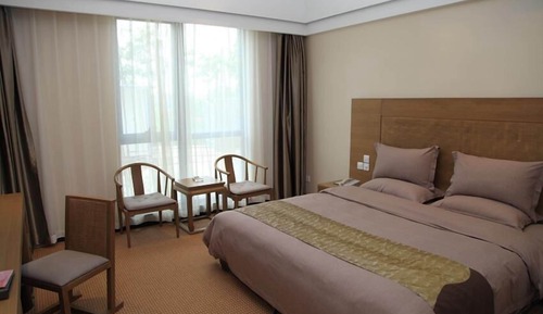 Basic-Einzelzimmer, 1 Schlafzimmer