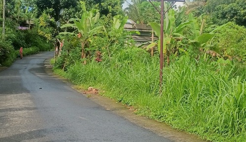 Romantisches Bungalow