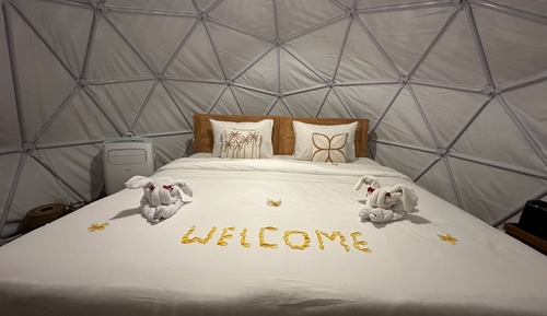 Family Dome Tent King