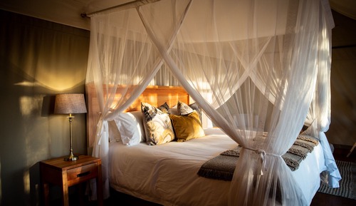 Luxury-Zelt