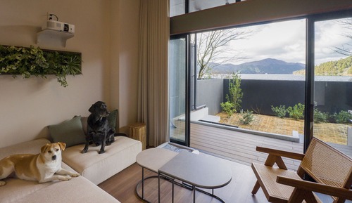 Standardzimmer, Nichtraucher (Loft included, Dog Friendly)