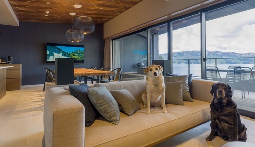 Executive-Zimmer, Mehrere Betten, Nichtraucher (Dog Friendlyl, Suite)