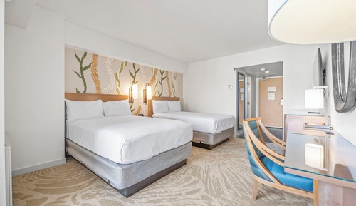 Stunning Studio at Ala Moana 1711