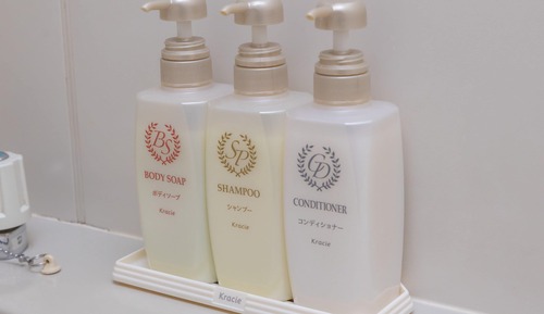 Traditional-Zweibettzimmer, 2 Einzelbetten, Nichtraucher (Showa)