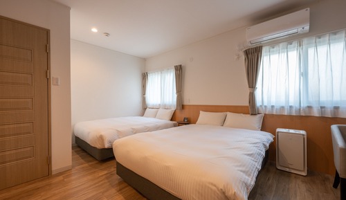 Deluxe-Zweibettzimmer, Nichtraucher (check-in is not available after 11PM)