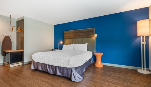 Zimmer, 1 King-Bett, barrierefrei (Mobility & Hearing, Roll-In Shower)