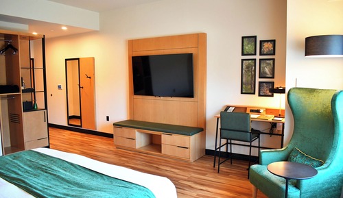 Standard Room, 1 King Bed, Accessible (King)