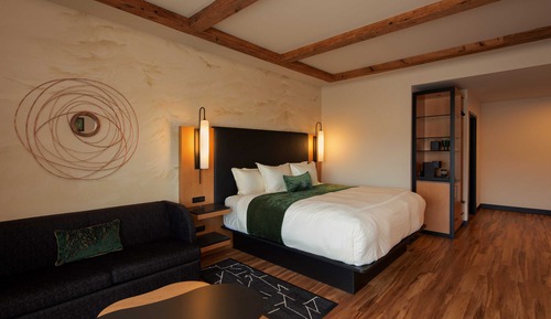 Executive Room, 1 King Bed with Sofa bed (Concierge) For 21+ years only