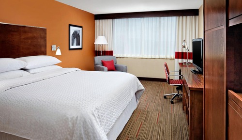 Executive-Zimmer, 1 King-Bett