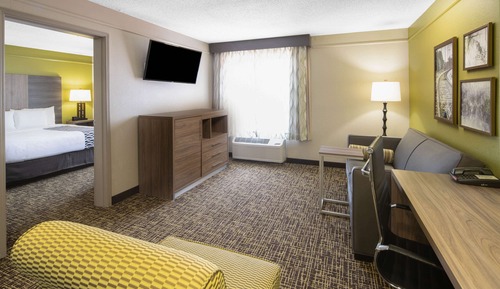 Suite, 1 Schlafzimmer, Nichtraucher