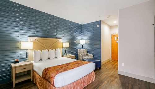 Standardzimmer, 1 Queen-Bett, Nichtraucher, Kochnische (with Sofabed)